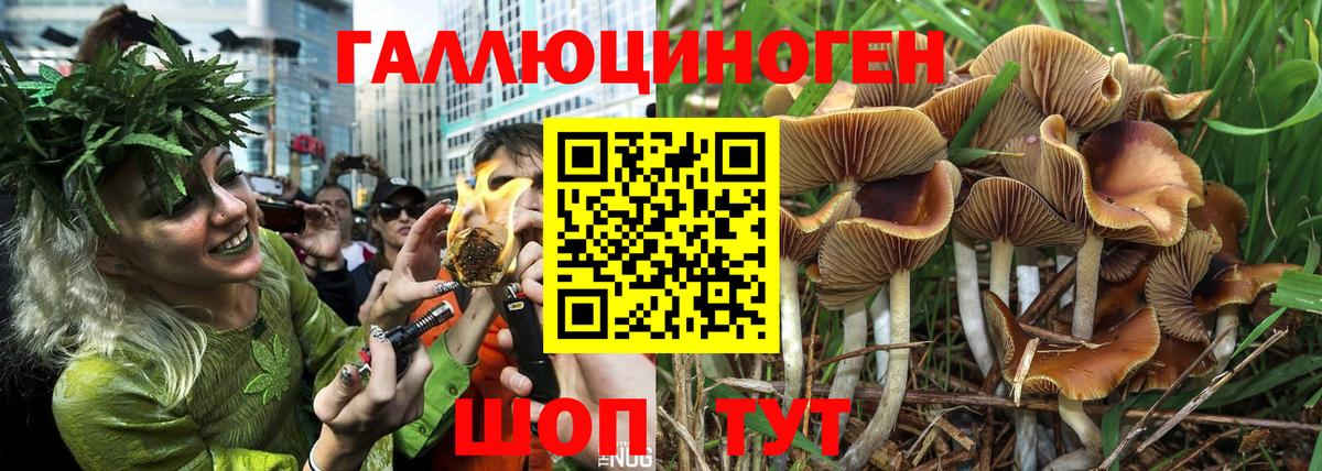 Кострома  Псилоцибиновые грибы прущие грибы  Галлюциногенные грибы прущие грибы  Вход с VPN 