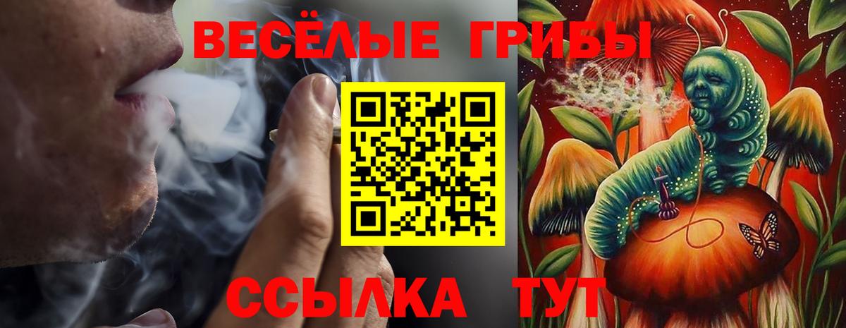 Кострома  Марихуана  МДМА  A PVP СК   Экстази  МЕТАМФЕТАМИН  МЕФ кристаллы  Вход с VPN  ГАШ 