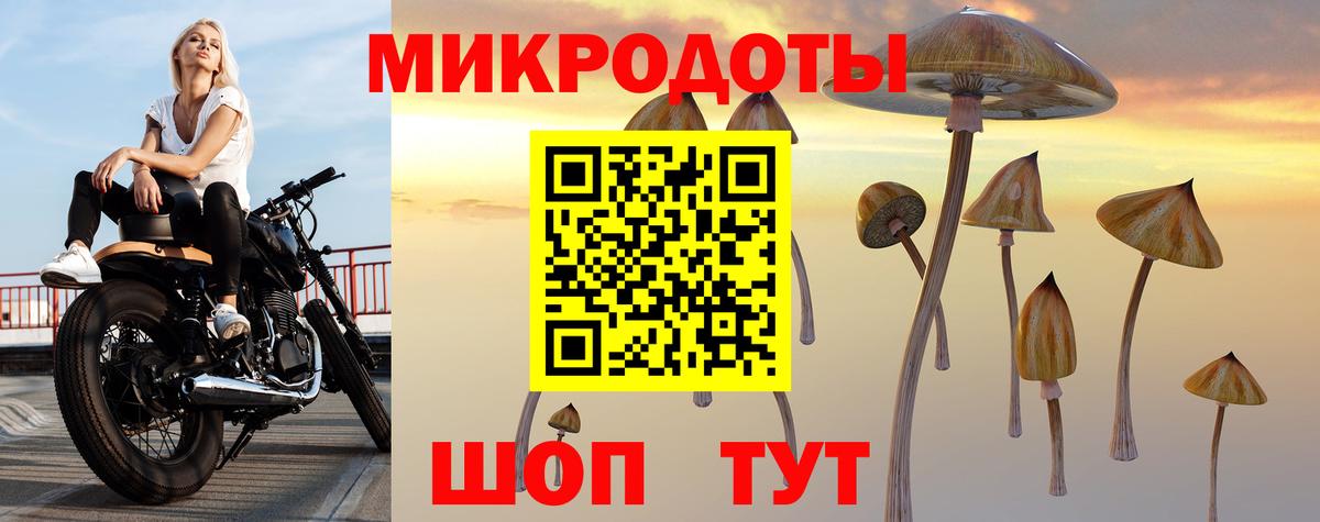 Галлюциногенные грибы Cubensis Кострома